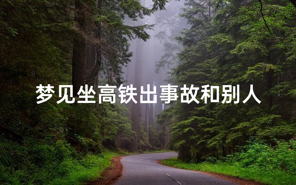 梦见坐高铁出事故和别人打架,梦见坐高铁撞车