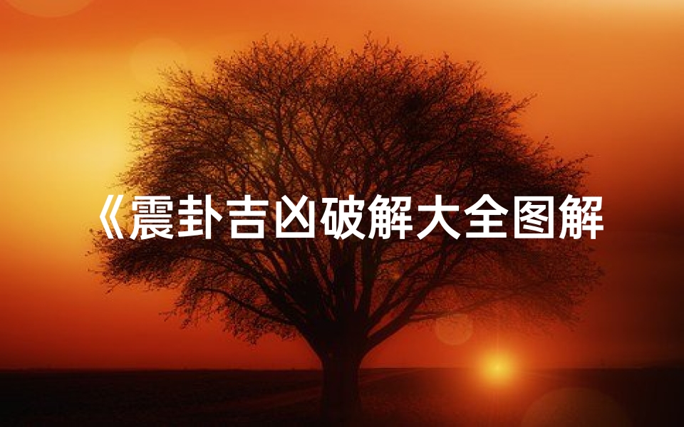 《震卦吉凶破解大全图解：揭秘神秘卦象奥秘》