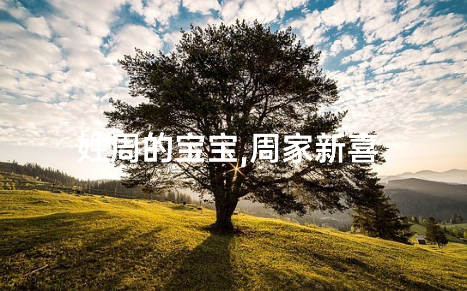 姓周的宝宝,周家新喜：周宝宝萌动，幸福满溢的名字揭晓