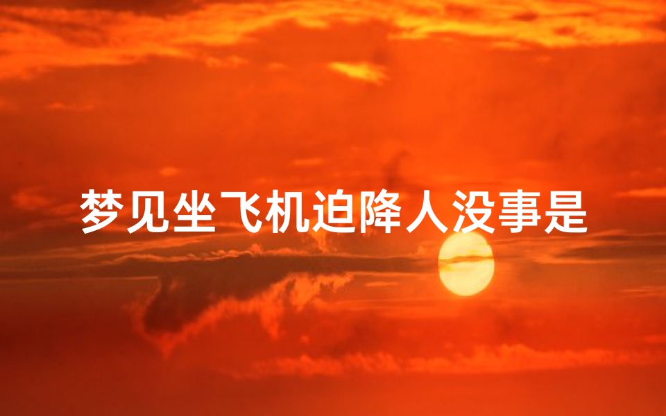 梦见坐飞机迫降人没事是什么意思(梦见坐飞机迫降成功是什么意思)