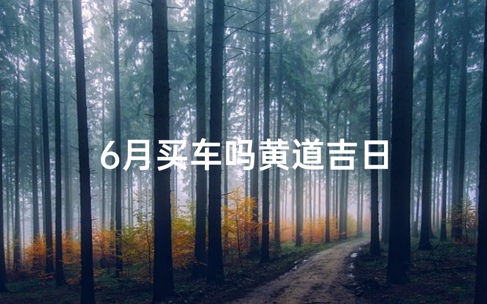 6月买车吗黄道吉日