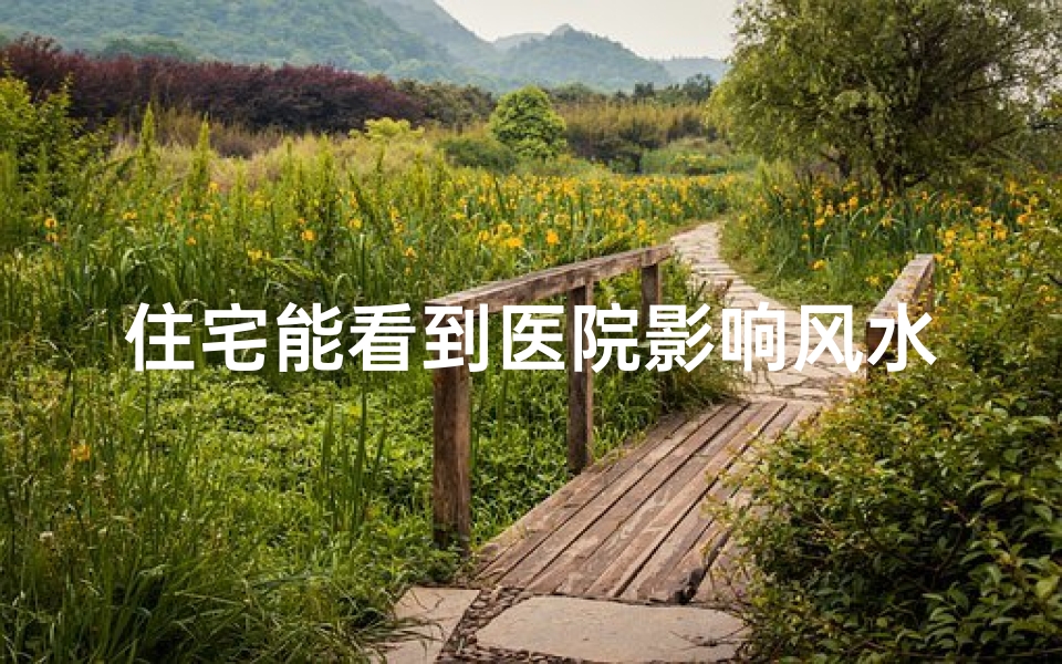 住宅能看到医院影响风水吗—房子能看到医院