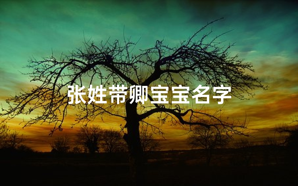 张姓带卿宝宝名字