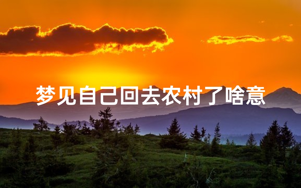 梦见自己回去农村了啥意思_做梦梦见回农村