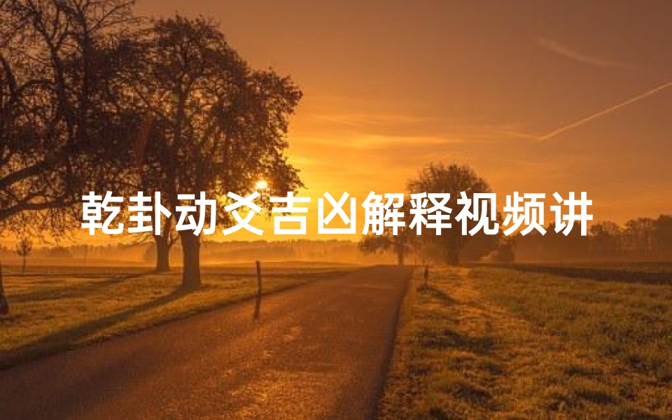 乾卦动爻吉凶解释视频讲解;《乾卦动爻吉凶解析：洞察运势的智慧钥匙》