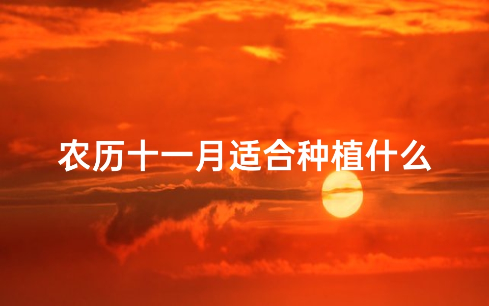 农历十一月适合种植什么蔬菜_农历十一月伐树吉日：宜木宜财，好运连连