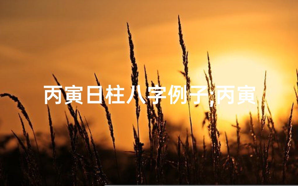 丙寅日柱八字例子;丙寅八字命理揭秘：人生运势密码解读