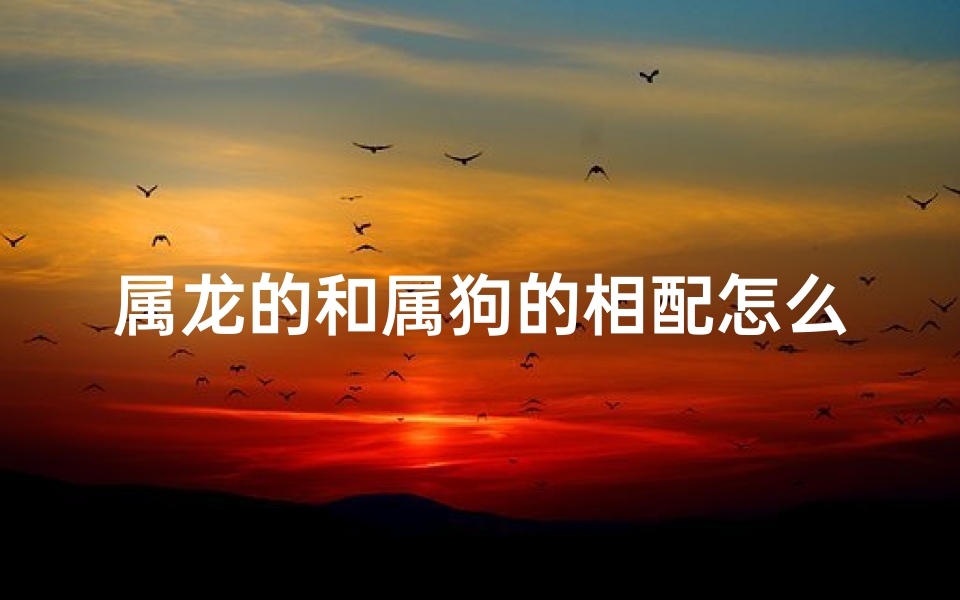 属龙的和属狗的相配怎么样_龙凤呈祥，狗龙情深：属龙属狗的奇妙缘分