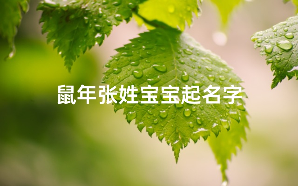 鼠年张姓宝宝起名字